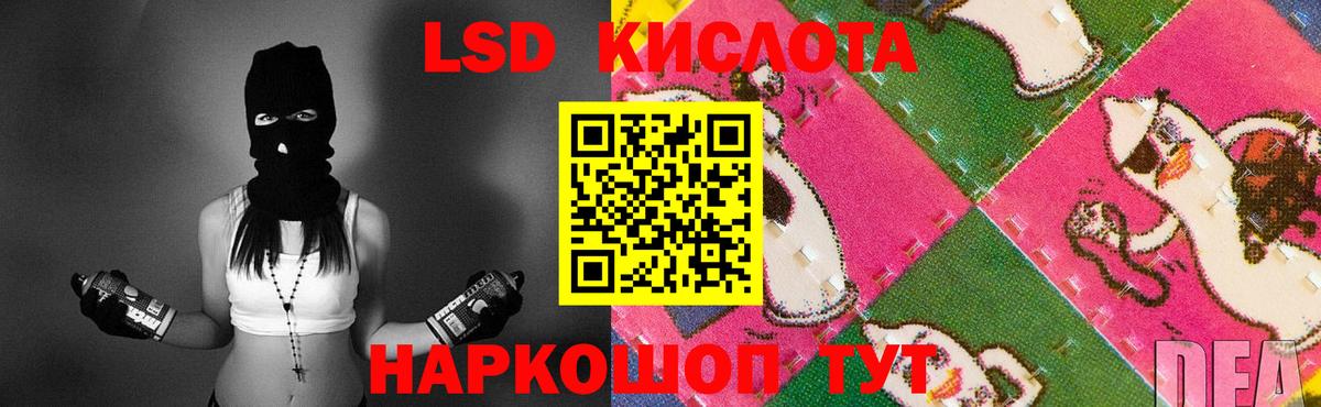 Лсд 25 экстази кислота  Лсд 25 экстази кислота  Камышлов  Вход с VPN 
