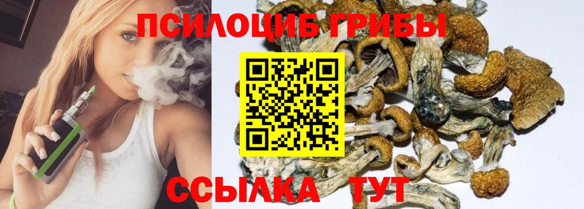 Галлюциногенные грибы Cubensis Камышлов